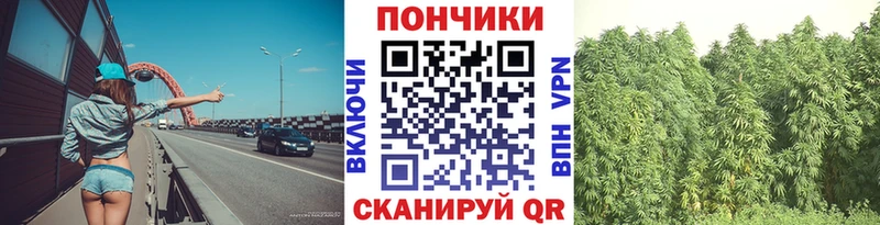 Купить наркотики Пушкино ГАШИШ  Alpha-PVP  Меф  Бошки Шишки  COCAIN 