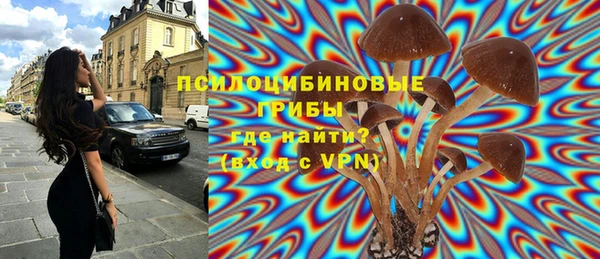 spice Бородино
