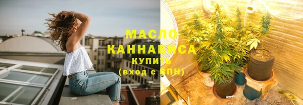 spice Бородино