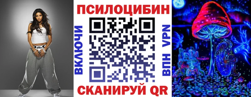 хочу наркоту  Пушкино  Галлюциногенные грибы Psilocybe 